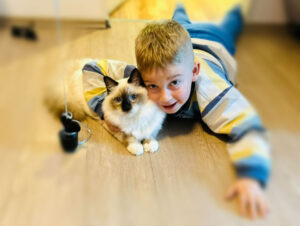 Birmanska mačka in otroci